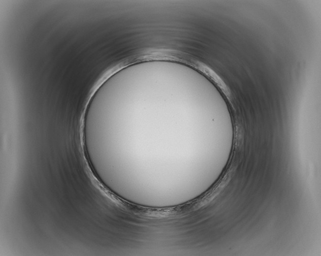 X0000115851386200911131118
