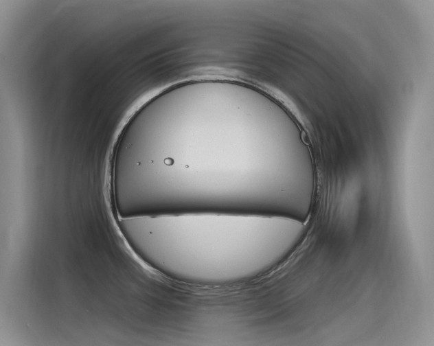 X0000115851387200911131117