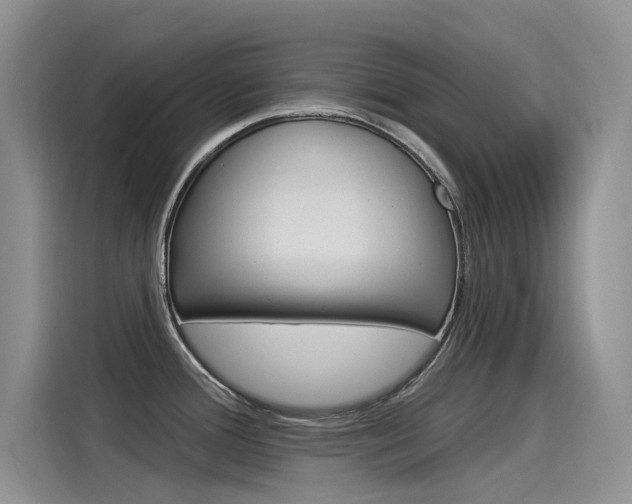 X0000115851388200911131117
