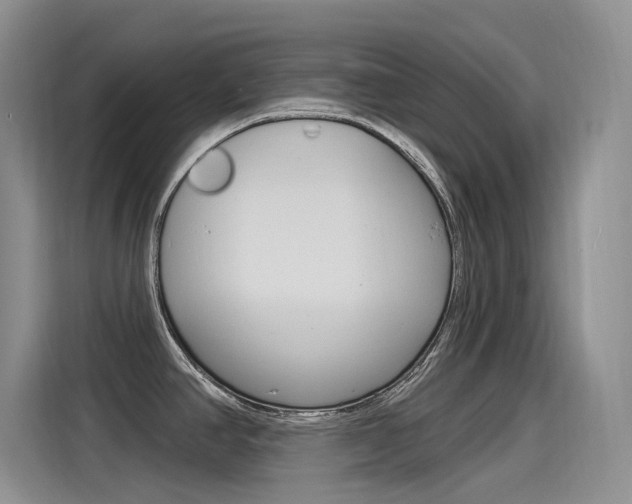 X0000115851390200911131117