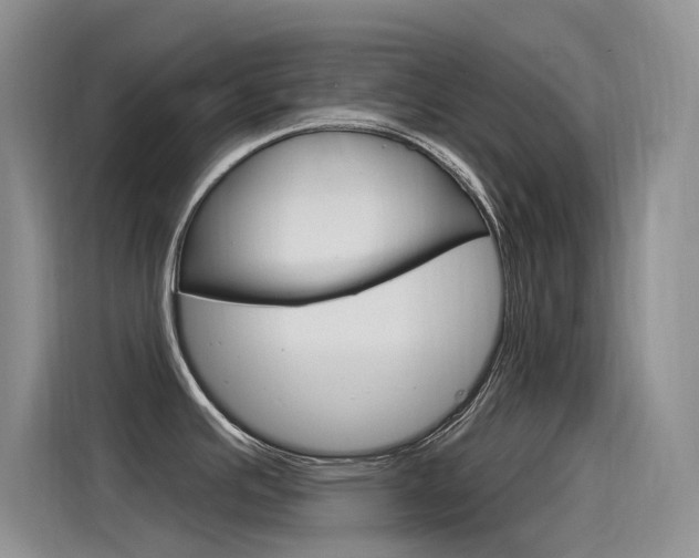 X0000115851391200911131117