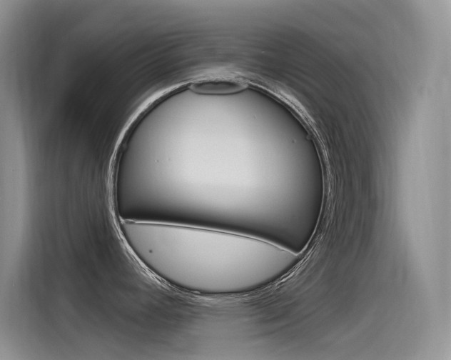X0000115851392200911131117