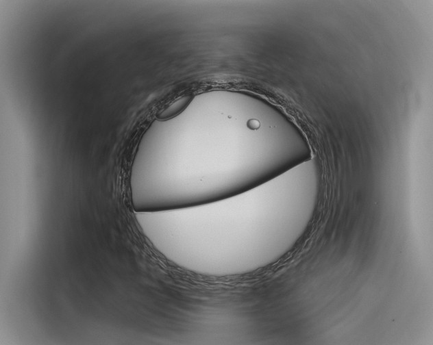 X0000115851398200911131117