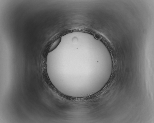 X0000115851399200911131117