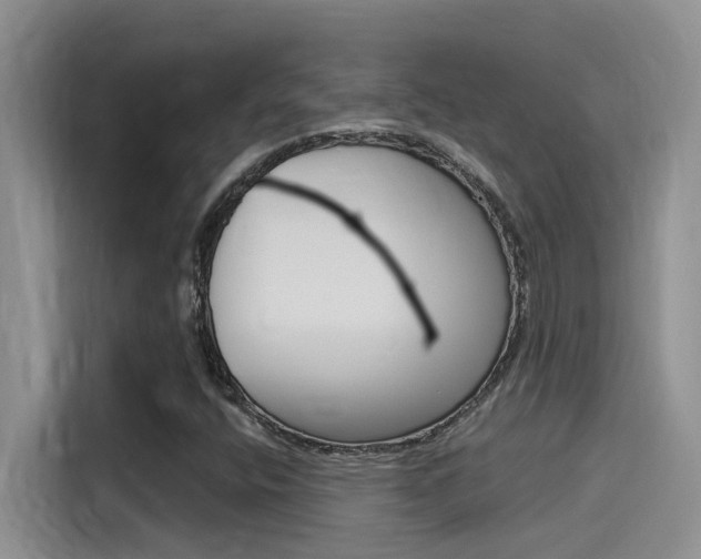 X0000115851400200911131117