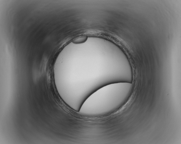 X0000115851401200911131117