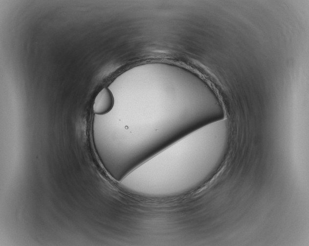 X0000115851402200911131117