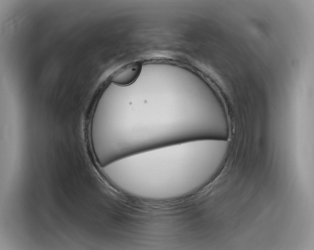 X0000115851404200911131117