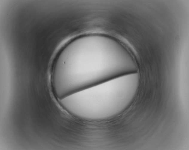 X0000115851416200911131117