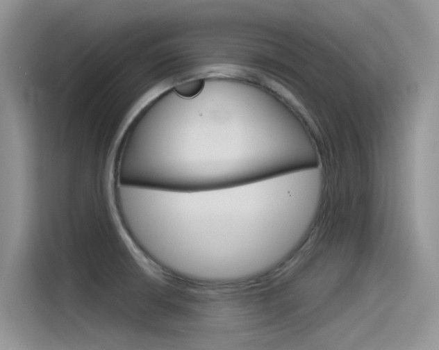 X0000115851426200911131117