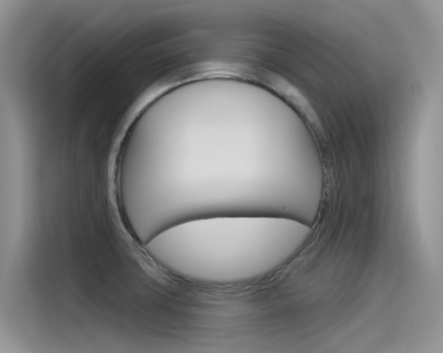 X0000115851427200911131117