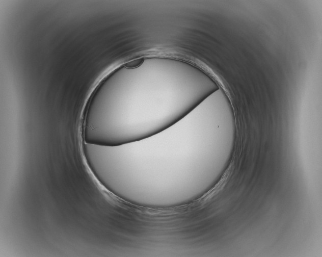X0000115851434200911131117