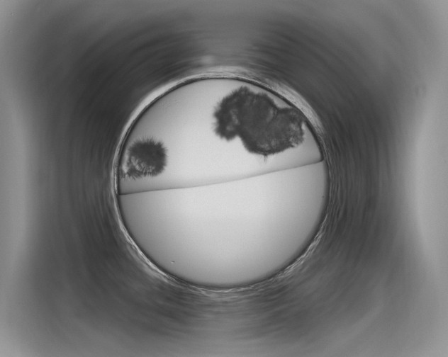 X0000115851436200911131117