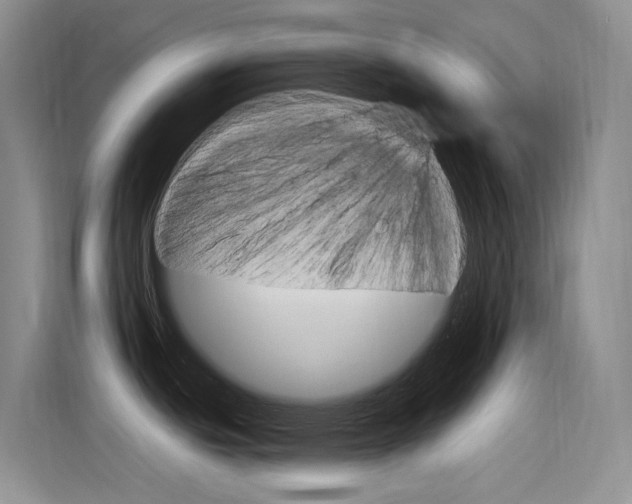 X0000115851439200911131117
