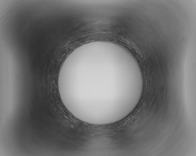 X0000115851445200911131117