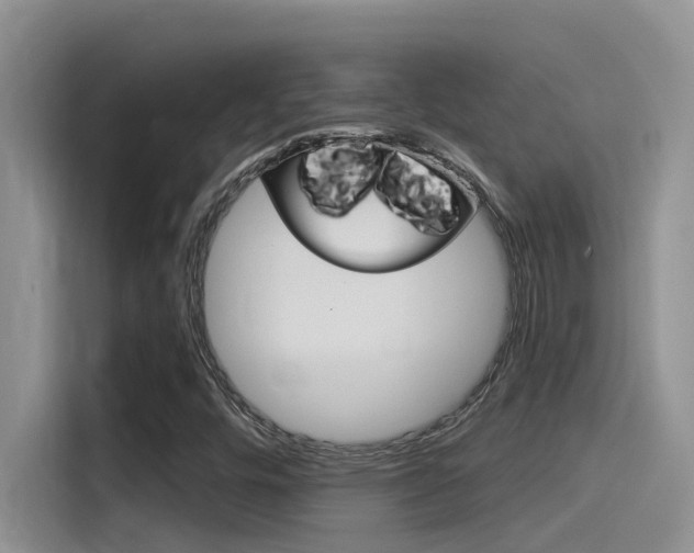 X0000115851448200911131117