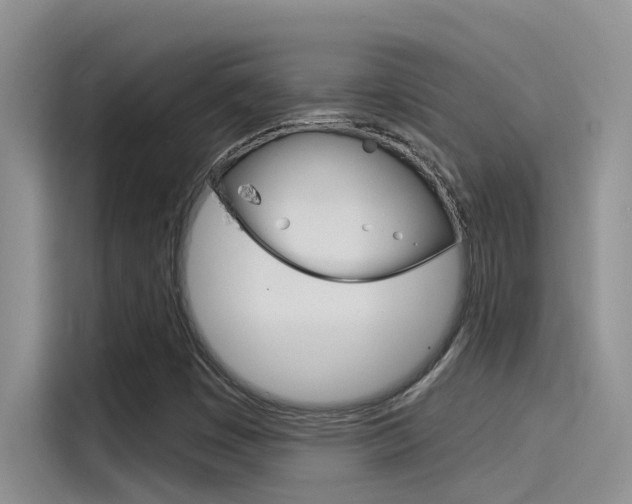 X0000115851449200911131117