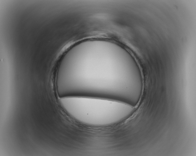 X0000115851455200911131117
