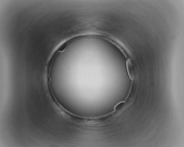 X0000115851460200911131117
