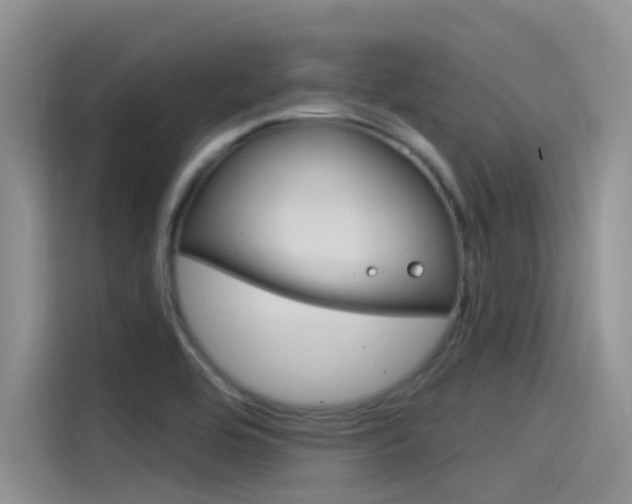 X0000115851464200911131116