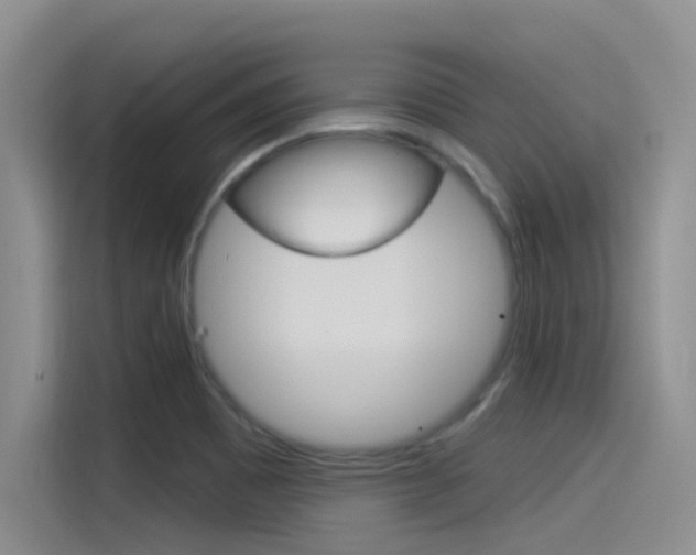 X0000115851465200911131116