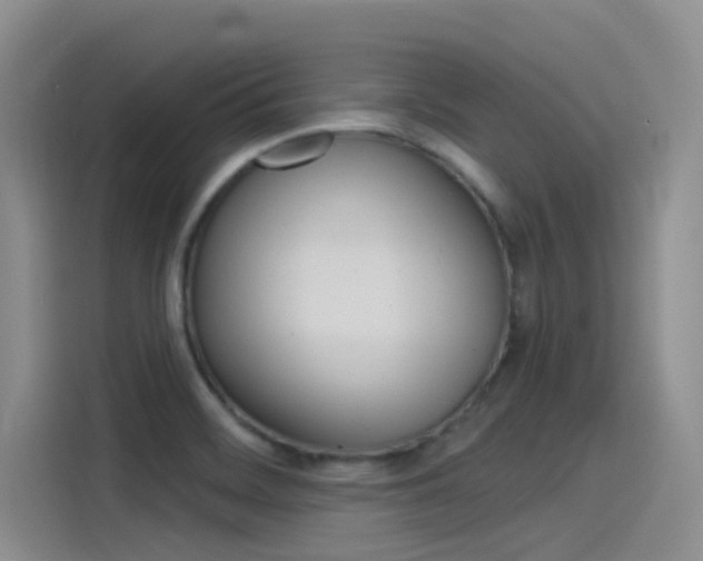 X0000115851468200911131116