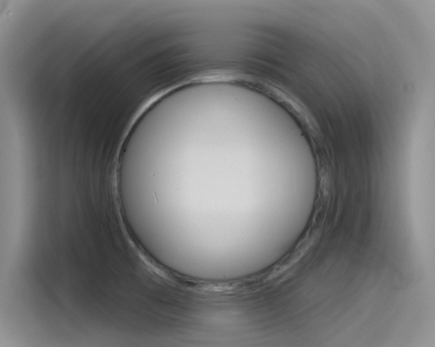 X0000115851473200911131116