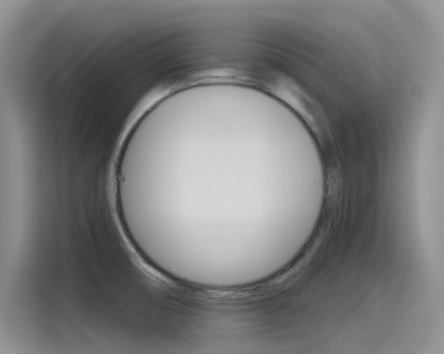 X0000115851474200911131116