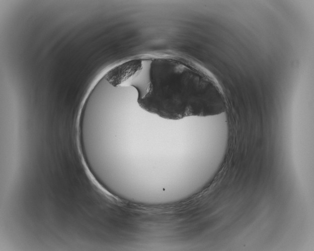 X0000115851479200911131116