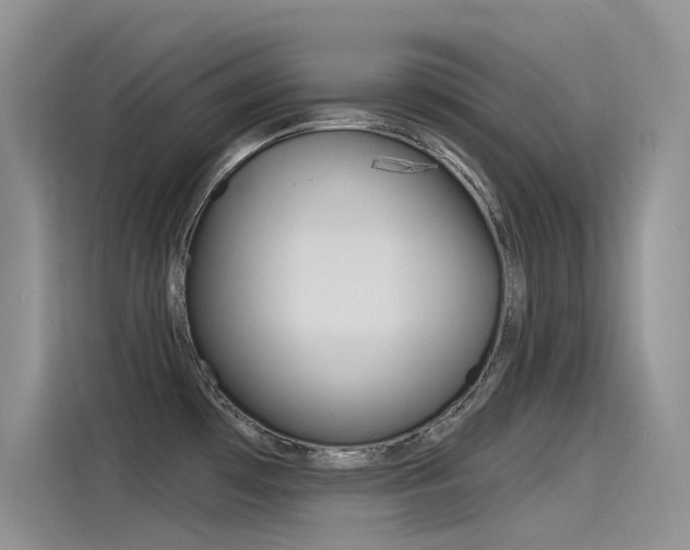 X0000115851481200911131116