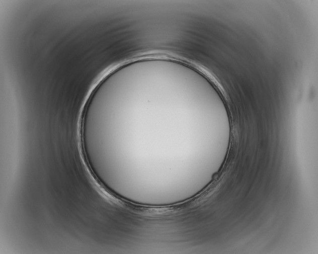 X0000115851482200911131116