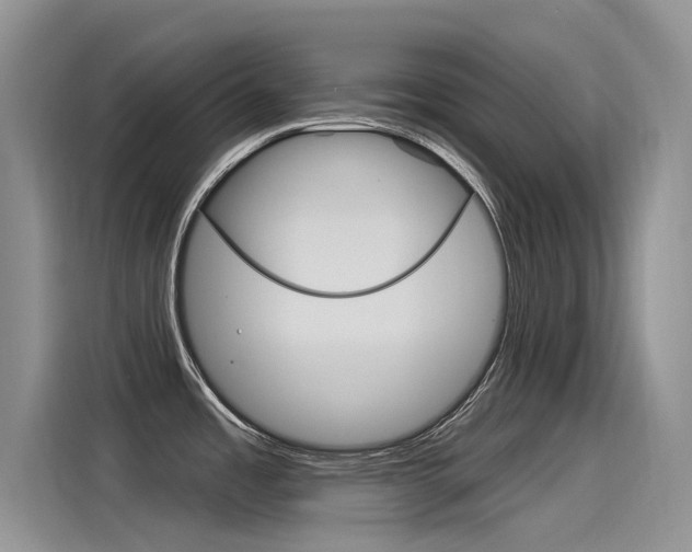 X0000115851485200911131116