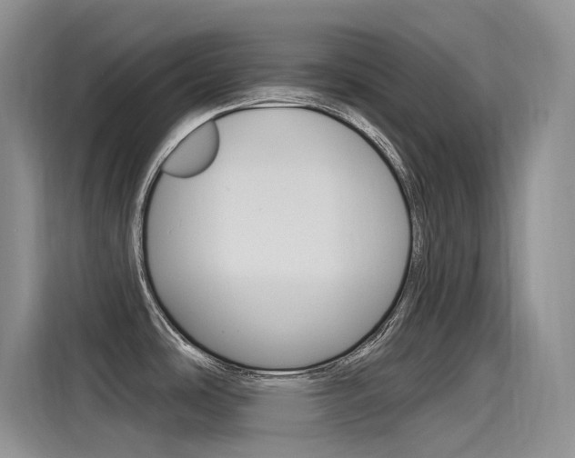 X0000115851486200911131116
