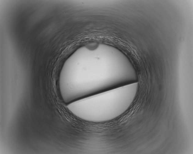 X0000115851489200911131116