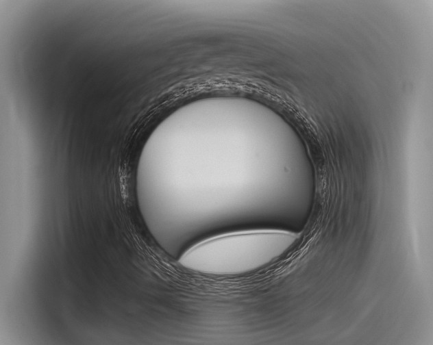 X0000115851490200911131116