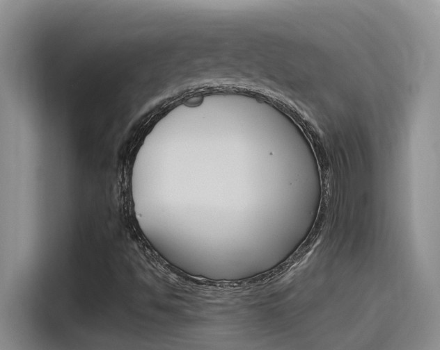 X0000115851494200911131116