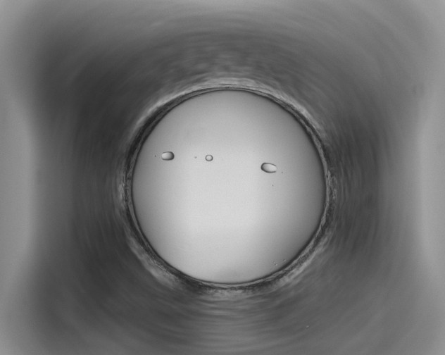 X0000115851499200911131116