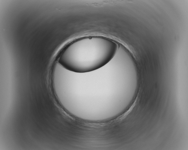 X0000115851502200911131116