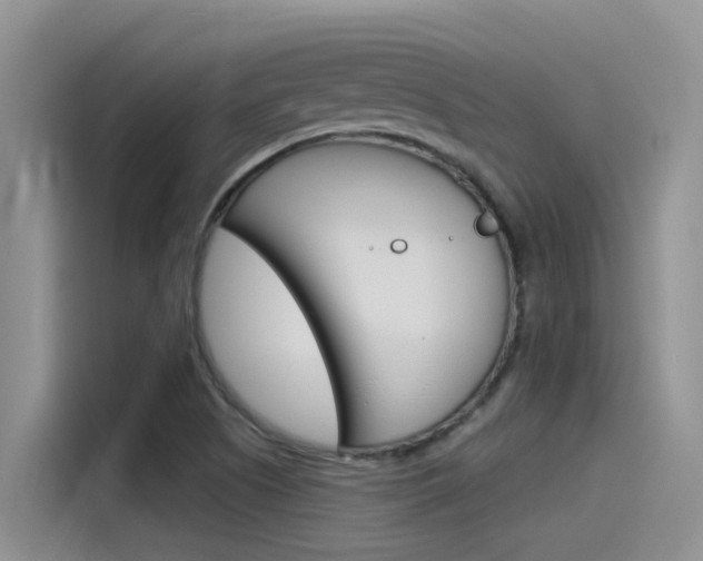 X0000115851505200911131116
