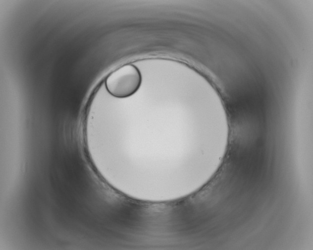 X0000115851514200911131116
