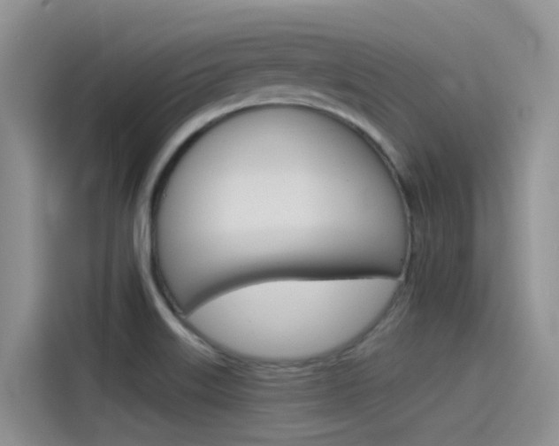 X0000115851515200911131116