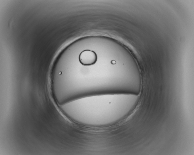 X0000115851517200911131116