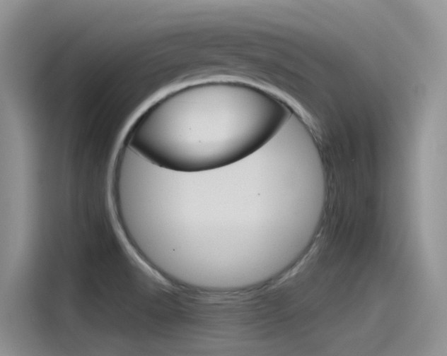 X0000115851518200911131116