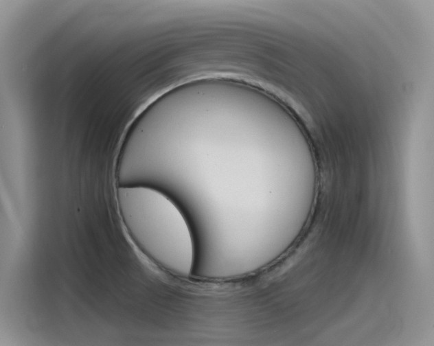 X0000115851521200911131116