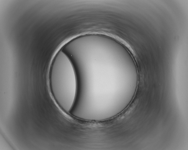X0000115851525200911131116