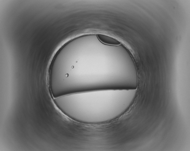 X0000115851527200911131116
