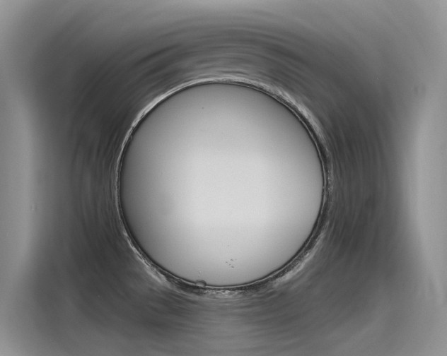 X0000115851529200911131116