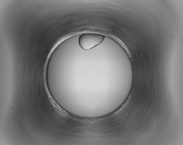 X0000115851530200911131116