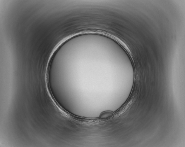 X0000115851533200911131116
