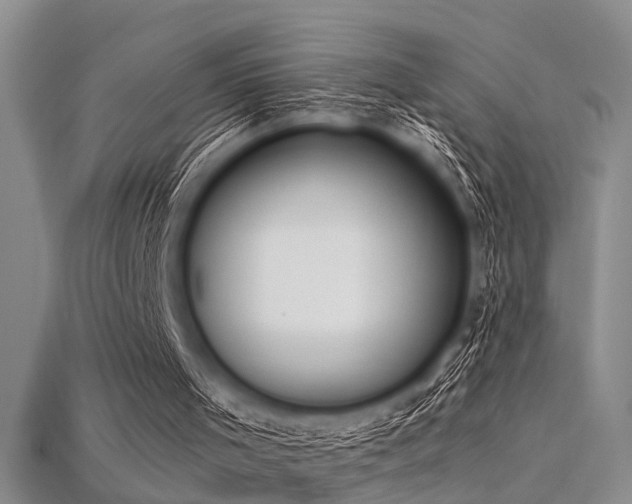 X0000115850001200911131601